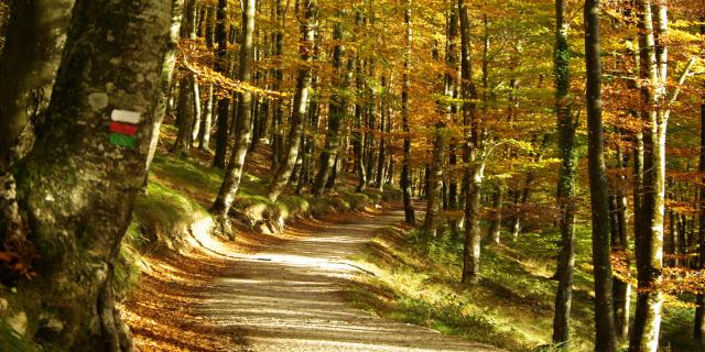  3 REGALOS ORIGINALES Y BARATOS PARA AMANTES DE LA NATURALEZA