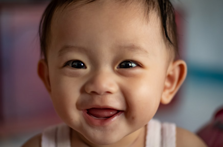  Regalos para bebes de 1 año en Navidad