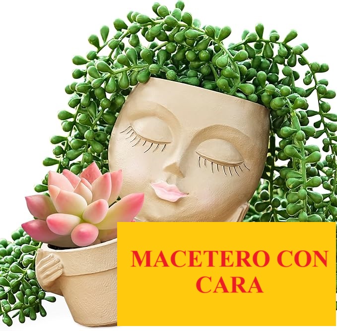 macetero con cara